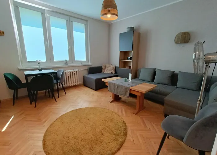 Baltica Nawigator Gdynia